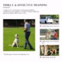 H880 Remote Dog Training Collar - 图片 6
