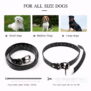 H880 Remote Dog Training Collar - 图片 9