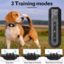 Remote Dog Training Collar Model 669 - 图片 5