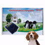 In-Ground Wired Dog Electric Fence W227 - 图片 9