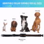 Model 028 Indoor Wireless Pet Barrier Box - 图片 4