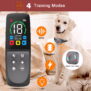 Rechargeable Dog Training Collar with Remote Model 739 - 图片 3