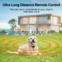 Remote Dog Training Collar - H883 - 图片 5