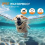 Remote Dog Training Collar - H883 - 图片 4