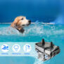 Remote Dog Training Collar - H883 - 图片 3