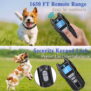 X13 Remote Dog Training Collar - 4 Channels - 图片 11