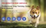 X13 Remote Dog Training Collar - 4 Channels - 图片 15