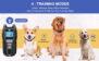 X13 Remote Dog Training Collar - 4 Channels - 图片 16