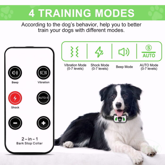 K260 2 IN 1 Remote Dog  Training Collar - 图片 6