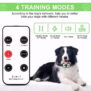 K260 2 IN 1 Remote Dog  Training Collar - 图片 6