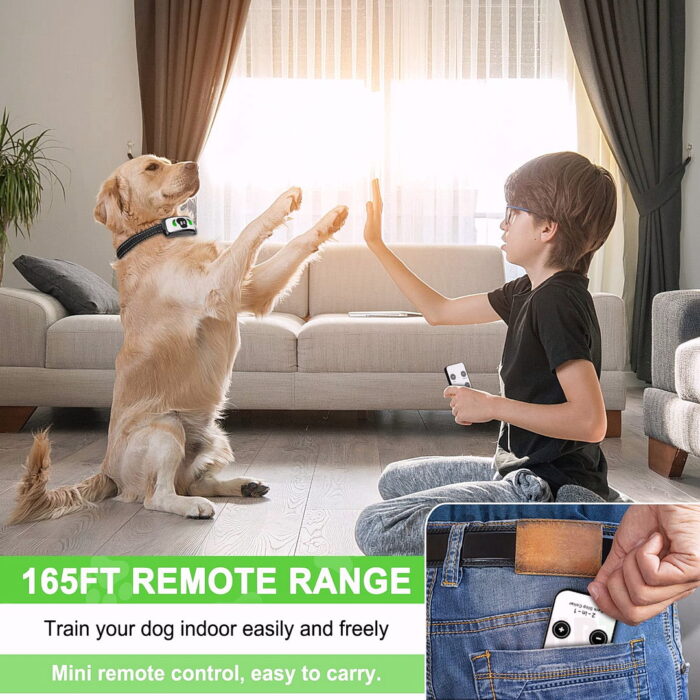 K260 2 IN 1 Remote Dog  Training Collar - 图片 8