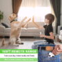 K260 2 IN 1 Remote Dog  Training Collar - 图片 8