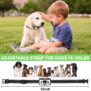 K260 2 IN 1 Remote Dog  Training Collar - 图片 10