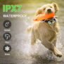 K260 2 IN 1 Remote Dog  Training Collar - 图片 11