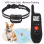 2-in-1 GPS Wireless Dog Fence and Remote Dog Training Collar KD-G2 - 图片 3