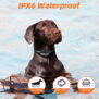 2-in-1 GPS Wireless Dog Fence and Remote Dog Training Collar KD-G2 - 图片 8