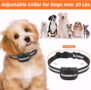 2-in-1 GPS Wireless Dog Fence and Remote Dog Training Collar KD-G2 - 图片 6