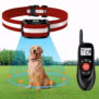 2-in-1 Wireless Dog Fence & Remote Training Collar System KD-W2