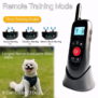 2-in-1 Wireless Dog Fence & Remote Training Collar System KD-W2 - 图片 4