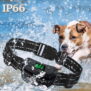 2-in-1 Wireless Dog Fence & Remote Training Collar System KD-W2 - 图片 5