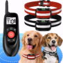 2-in-1 Wireless Dog Fence & Remote Training Collar System KD-W2 - 图片 10
