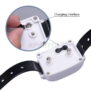 Wireless Dog Fence System KD661 - 图片 4