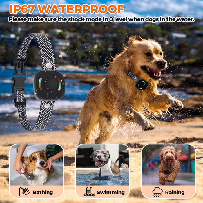 H736 Remote Dog Training Collars Shock E Collar - 图片 7