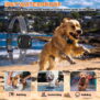 H736 Remote Dog Training Collars Shock E Collar - 图片 7