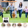 H736 Remote Dog Training Collars Shock E Collar - 图片 8