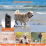 KD681 Electric Dog Training Collar Waterproof  Rechargeable Electrostatic Shock for Dogs - 图片 4