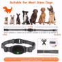 KD681 Electric Dog Training Collar Waterproof  Rechargeable Electrostatic Shock for Dogs - 图片 8