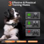 H732 Remote Dog Training Collar Waterproof, Rechargeable. - 图片 4