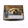 M81U Remote Dog Training Collar - 图片 7
