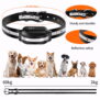 PD521 Remote Dog Training Collar - 图片 10
