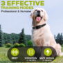 T330 Waterproof Remote Dog Training Collar - 图片 6
