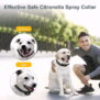T510 Spray Dog Training Collar - 图片 4
