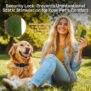T800Pro 3 in 1 Wireless Dog Fence - 图片 7