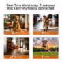 T800Pro 3 in 1 Wireless Dog Fence - 图片 11