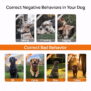 T800Pro 3 in 1 Wireless Dog Fence - 图片 14
