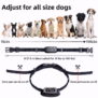 X14 Remote Dog Training Collar With 4 Channels - 图片 5