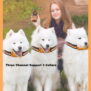 XD-T23 Precise UWB Wireless Dog Fence & Pet Barrier System - 图片 7
