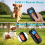 x12 Remote Dog Training Collar - 图片 5
